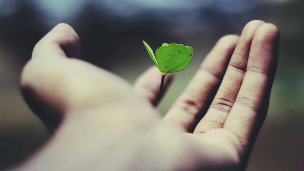 Sustainable Entrepreneurship: Building Startups for a Greener Future