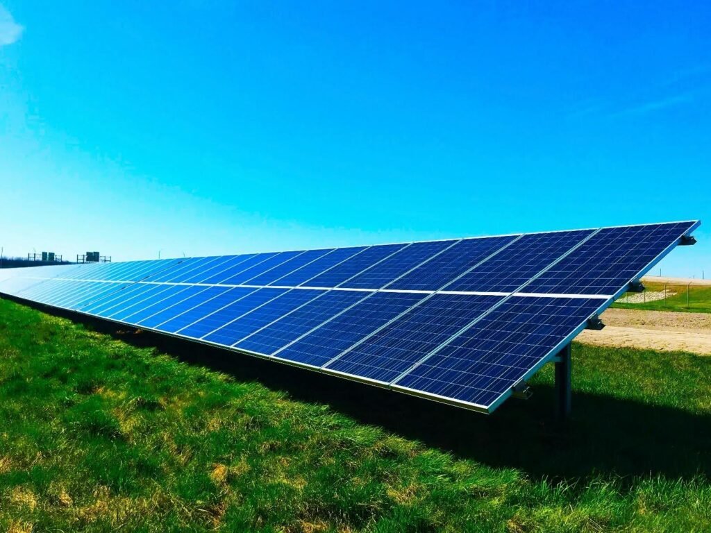 Sustainable Entrepreneurship: Building Startups for a Greener Future