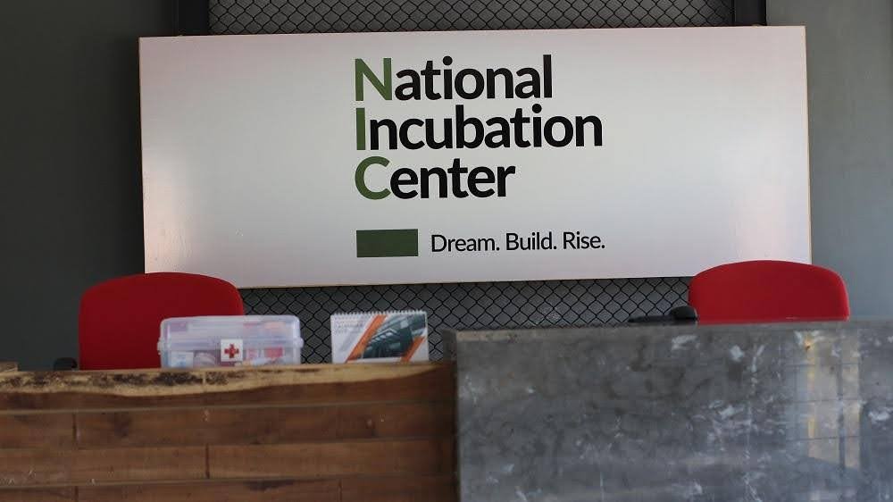 Sustainable Entrepreneurship: Building Startups for a Greener Future