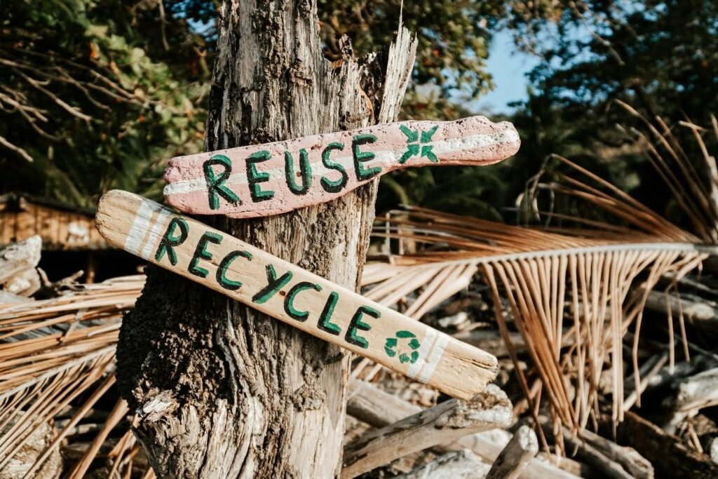 Sustainable Entrepreneurship: Building Startups for a Greener Future