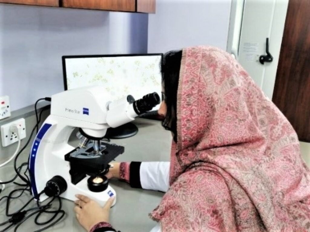 How Many Universities Are There in Pakistan?